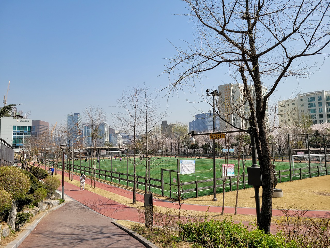 未来发展的