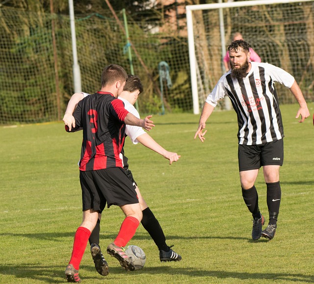 乓球在国际 乓球在国际