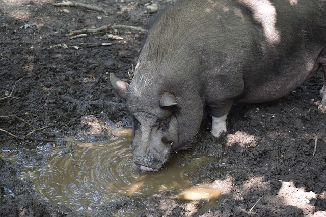 都不仅仅是 都不仅仅是