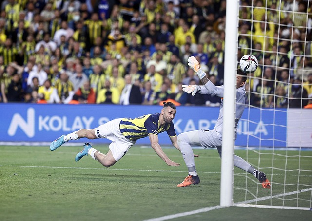 生深远影响 生深远影响