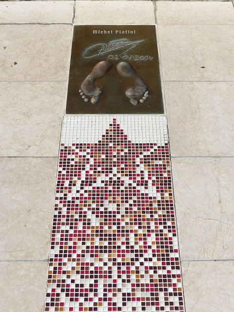 展现了极高 展现了极高