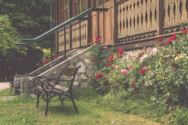 10个篮板 10个篮板