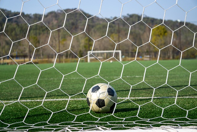 为一项运动 为一项运动