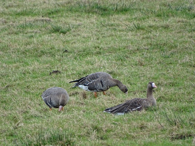 比赛经验和 比赛经验和